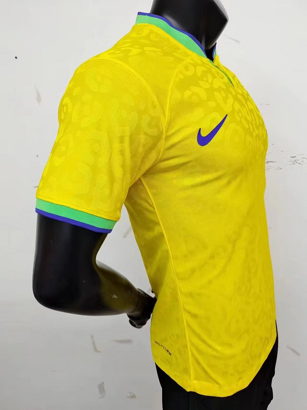 2022 Brazil home